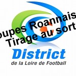 Coupe: Elimination de justesse 20110123minia