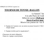 tennis-ballon-7-janvier-2016