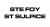 Logo Ste Foy St Sulpice