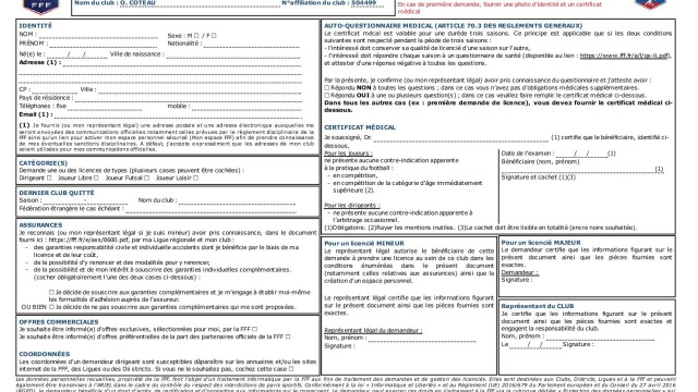 Demande licence 2019 simple