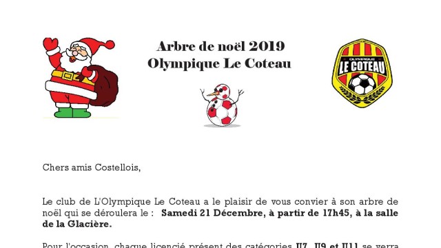 ARBRE DE NOEL 2019 article