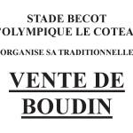 BOUDIN 2020 article