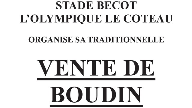 BOUDIN 2020 article