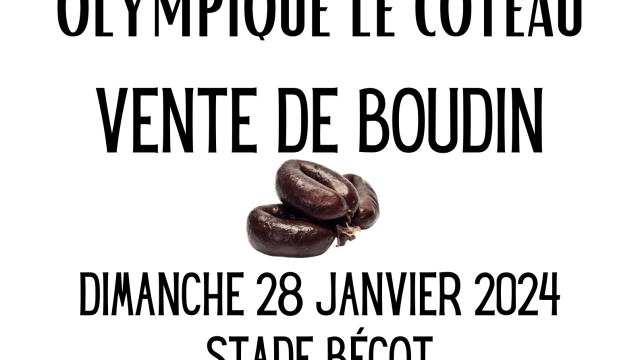 Boudin 2024 art